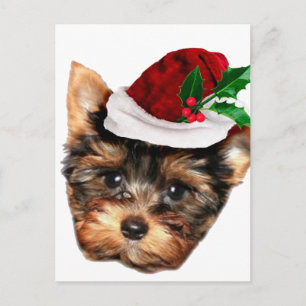 Cartão Postal Chrismtas Yorkshire Terrier cachorrinho