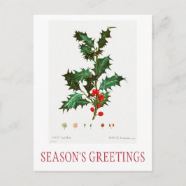 CARTÃO POSTAL CHRISTMAS DA SEASON