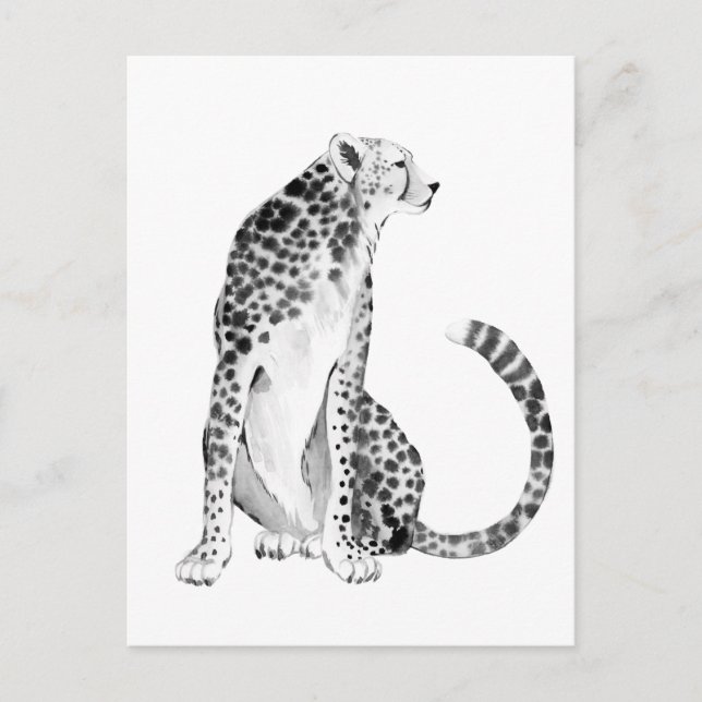 Cartão Postal Chrome Cheetah (Frente)