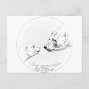 Cartão Postal Churchill Souvenirs Polar Bear Art Shirts e presen