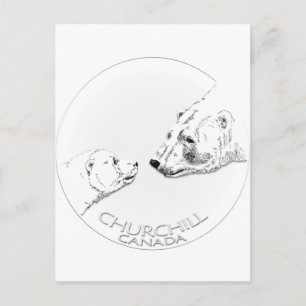Cartão Postal Churchill Souvenirs Polar Bear Art Shirts & Gifs