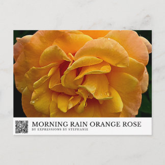 Cartão Postal Chuva da Manhã Rosa Laranja
