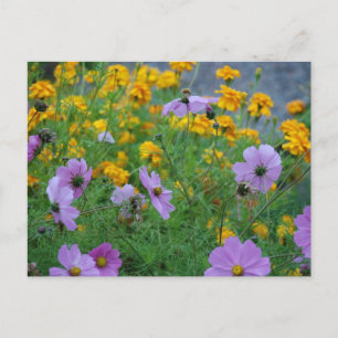 Cartão Postal Chuva de Flores de Casamento Elegante Paz Amor Des