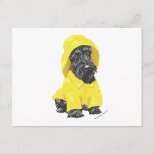 Cartão Postal Chuvas de Abril Scottish Terrier