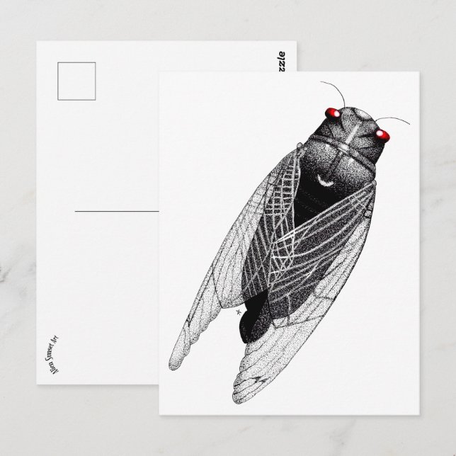Cartão Postal Cicada (Frente/Verso)