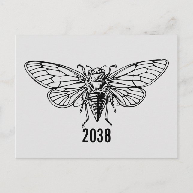 Cartão Postal Cicadas 2038 (Frente)