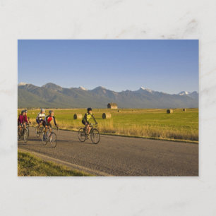 Cartão Postal Ciclistas de estrada descem uma estrada do interio