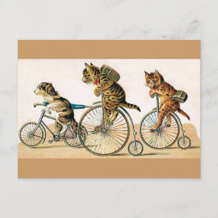 Cartão Postal Ciclo