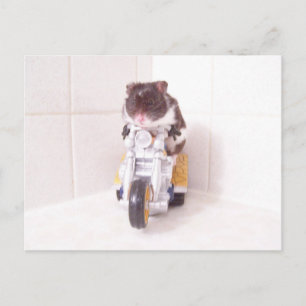 Cartão Postal ciclo noah amarelo