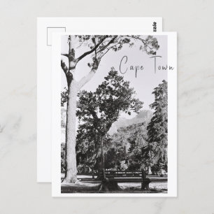 Cartão Postal Cidade do Cabo Natureza Montanha África do Sul ZA