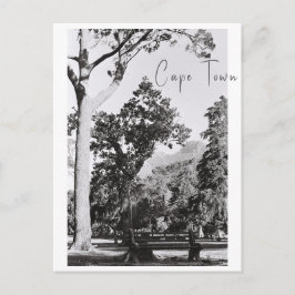 Cartão Postal Cidade do Cabo Natureza Montanha África do Sul ZA