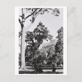 Cartão Postal Cidade do Cabo Natureza Montanha África do Sul ZA