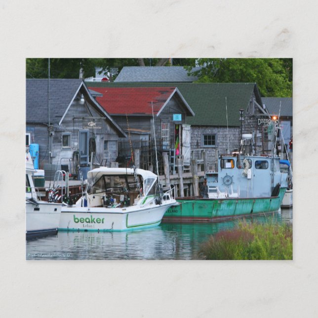 Cartão Postal cidade piscícola de Leland (Frente)