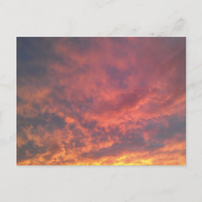 Cartão Postal Cidade Universitária (Frente)