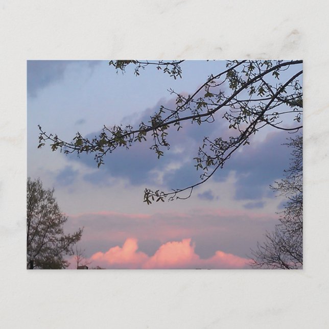 Cartão Postal Cidade Universitária Goodwill (Frente)