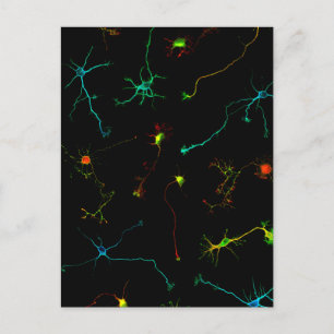 Cartão Postal ciência