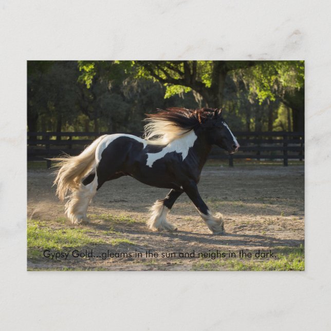 Cartão postal cigano Dourado (Frente)