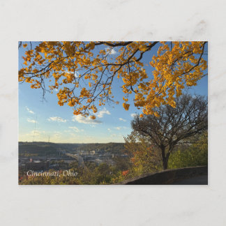 Cartão Postal Cincinnati Park View Postcard