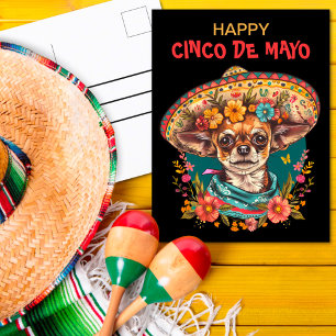 Cartão Postal Cinco de Mayo Chihuahua Vestindo Sombrero & Serape