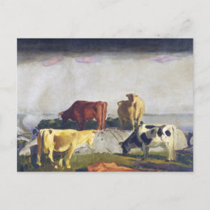 Cartão Postal Cinco Vacas - Pintura de George Bellows
