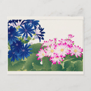 Cartão Postal Cineraria por Tanigami Konan