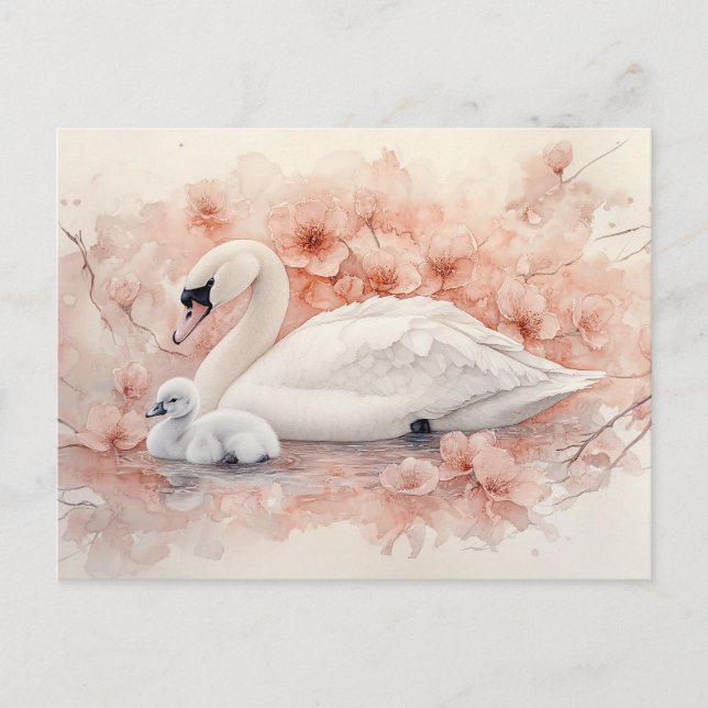 Cartão Postal Cinto de Cisne e Flores Rosa Esmagadas (Frente)