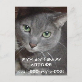 Cartão Postal Cinza Azul Russo Humor de Atitude Gato