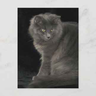 Cartão Postal Cinza Cabelo Longo Cabelo Azul Russo Gatinho Gatin