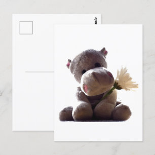 Cartão Postal Cinza Feliz Hippo Segurando Daisy, Foto de Amor Bo
