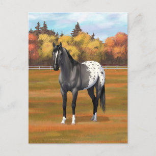 Cartão Postal Cinza Grulla Appaloosa Grullo Quarter Horse Stalli