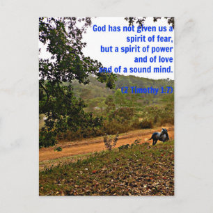 Cartão Postal Cinza inspiradora Timothy Bíblia Verse Deus