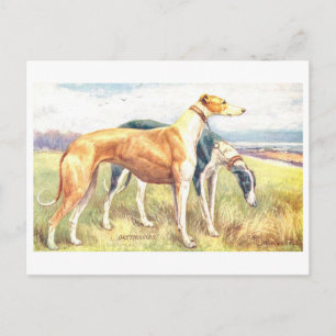 Cartão Postal Cinza Vintage Greyhound