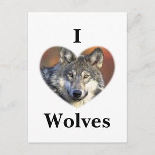Cartão Postal Cinza Wolf