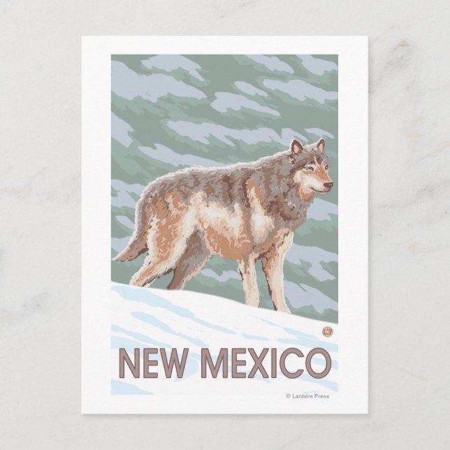 Cartão Postal Cinza Wolf em pé no Novo México (Frente)