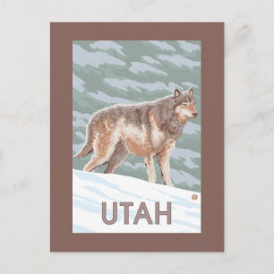 Cartão Postal Cinza Wolf WaitUtah