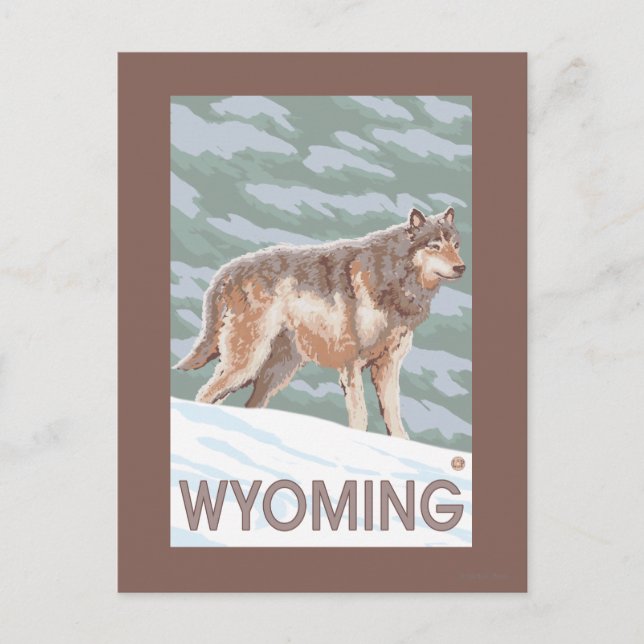 Cartão Postal Cinza Wolf WaitWyoming (Frente)