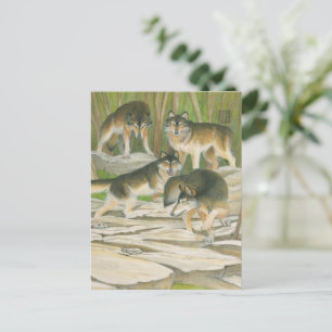 Cartão Postal Cinzas