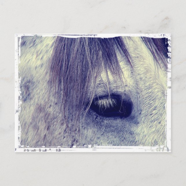 Cartão Postal Cinzas Vintage (Frente)