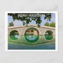 Cisne branco sob a ponte em arco