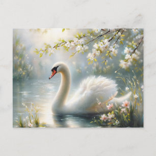 Cartão Postal Cisne de Primavera Nadando no Lago em Flor