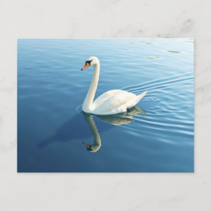 Cartão Postal Cisne Elegante em Aquarela num Lago Tranquilo