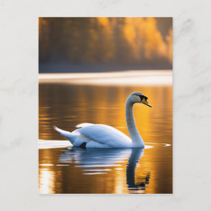 Cartão Postal Cisne Gracioso em um lago