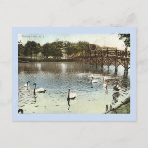 Cartão Postal Cisnes e Ponte, Primavera Lake, NJ Vintage