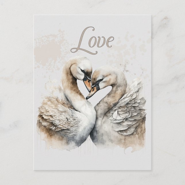 Cartão Postal Cisnes Românticos Casamento Amoroso (Frente)