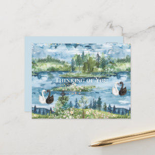 Cartão Postal Cisnes Românticos Lago Azul
