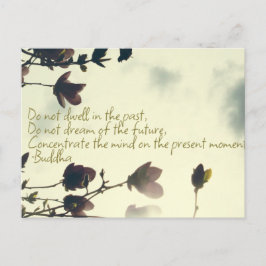 Cartão Postal Citação Buda sobre o passado