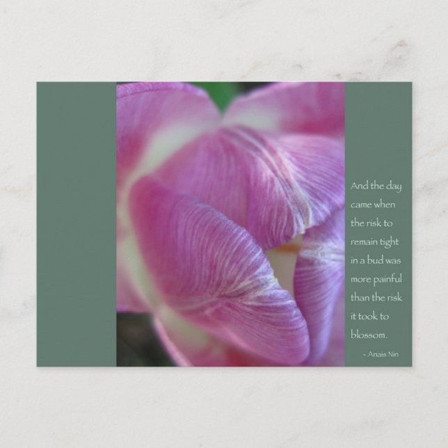 Cartão Postal Citação de Anais Nin (Frente)