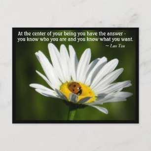 Cartão Postal Citação de Lao Tzu Joiainha Dália Inspiração Motiv