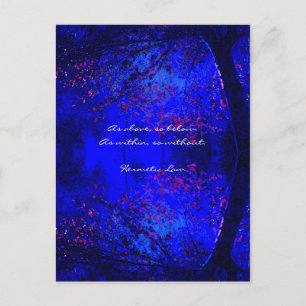 Cartão Postal Citação de Sabedoria   Reflexão Florestal Azul