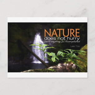 Cartão Postal Citação Inspirativa — Natureza
